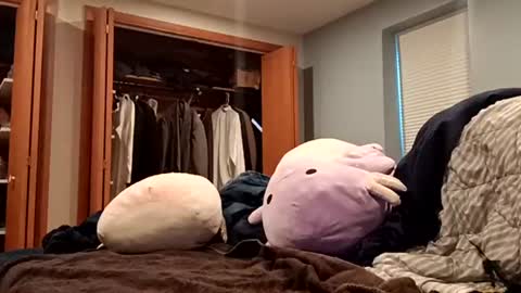 Handsomedaddy198923 online show from January 13, 5:54 pm