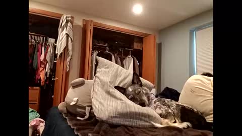 Handsomedaddy198923 online show from February 12, 6:33 pm