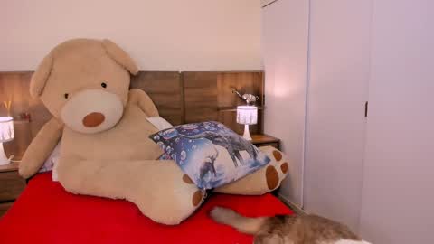 taylor live   online show from February 26, 9:09 pm