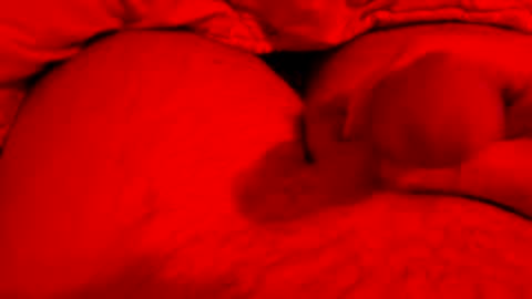 hapyending960 online show from March 8, 6:12 pm