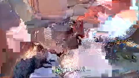 Irina online show from December 17, 5:29 am