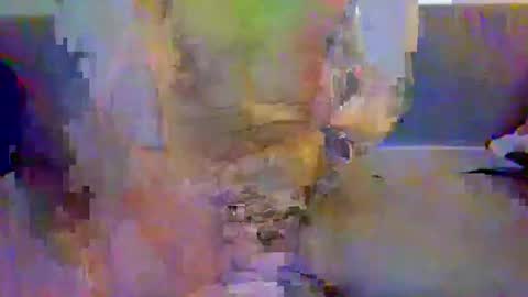 harryhavana online show from February 9, 8:21 am