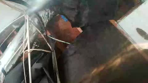 hellbillyboy336 online show from September 20, 6:22 pm