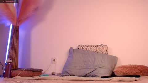 Heley online show from November 27, 9:00 pm