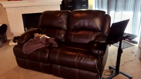 hollymaxxx online show from June 28, 1:01 am