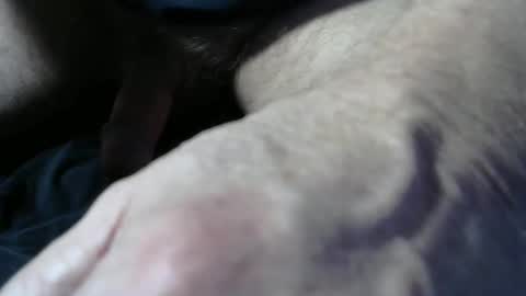 Dave444 online show from February 9, 3:15 pm