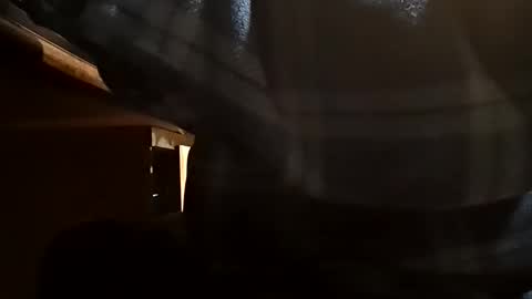 Dominick Subversal online show from November 1, 5:23 pm