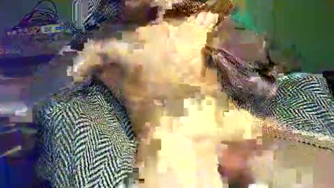 hornycocxxx online show from March 9, 1:14 am