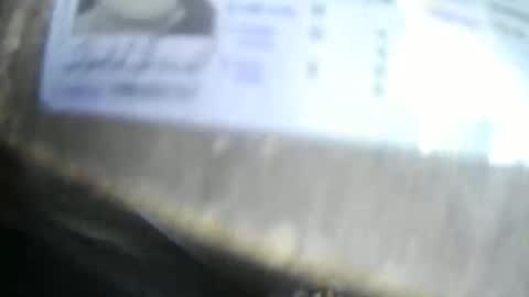 hornytodd0731 online show from October 31, 8:53 pm