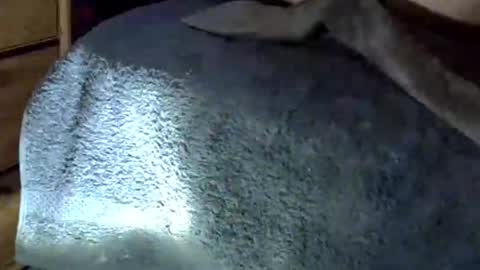 horse_dick9 online show from September 16, 7:55 am