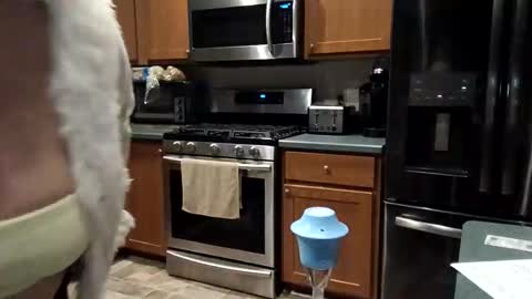 hotboobs117 online show from April 28, 4:50 am