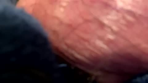 Snapshot of hotdog1124 chatting on January 6, 1:09 am hotdog1124 online show from January 6, 1:09 am