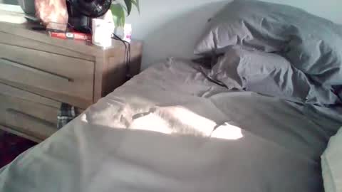 Snapshot of hotdog1124 chatting on September 22, 11:58 am hotdog1124 online show from September 22, 11:58 am