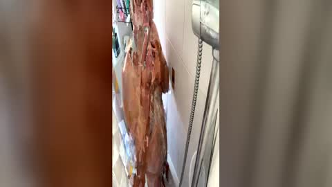 hotman7423 online show from July 5, 2:35 pm