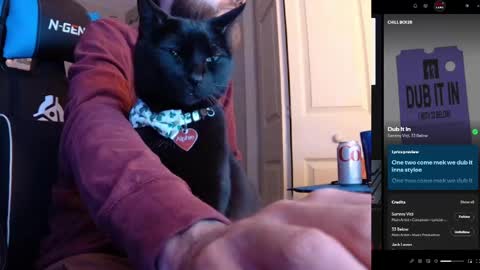 hotpumpkinpies online show from April 5, 2:30 am