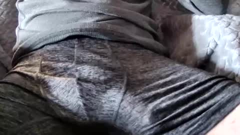 hugepecker131 online show from December 18, 1:17 pm