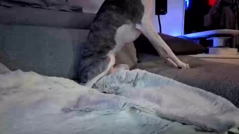 Hugo online show from March 10, 8:12 pm