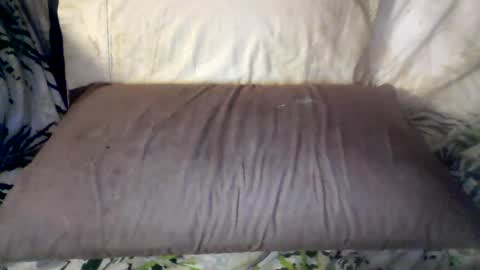hung420boner online show from June 12, 8:02 am