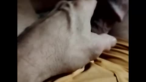 Teejay1971 online show from March 1, 11:53 pm