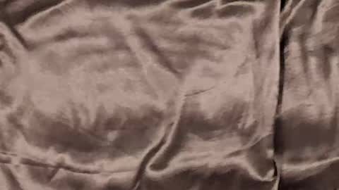 Danielle online show from January 8, 1:39 pm