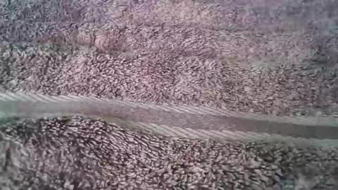 ihadmyphil online show from October 31, 1:44 pm