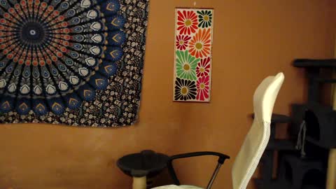 Africa online show from January 5, 8:10 pm