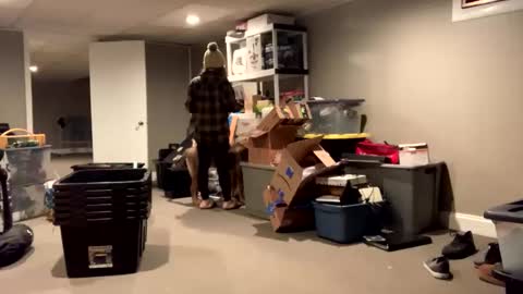 IntoTheWoodsWeGo online show from November 16, 3:03 pm