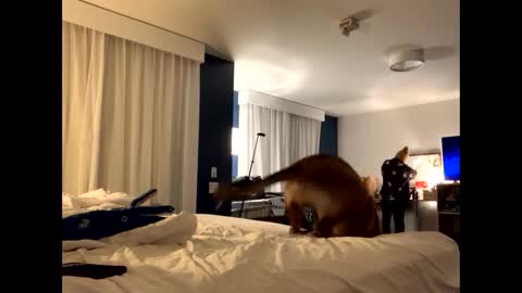 IntoTheWoodsWeGo online show from December 2, 2:10 am