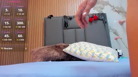 ISIS  online show from October 1, 3:16 am