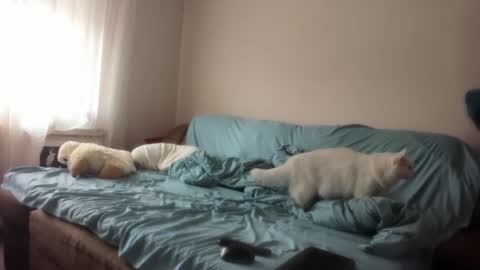 Issabelle online show from March 4, 6:26 am