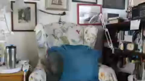 ImYourBitch online show from July 1, 11:02 pm