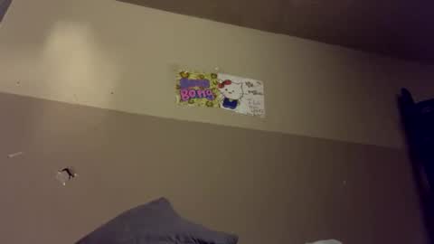 BellaMiaHerChicoBestia online show from December 29, 9:50 am