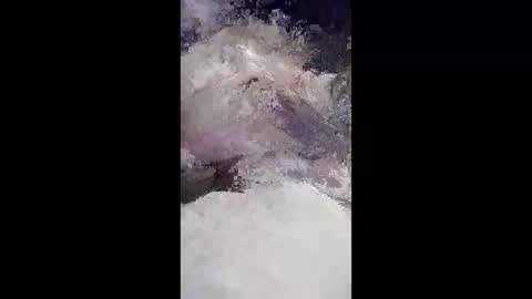 J4ckcock online show from April 12, 12:36 am