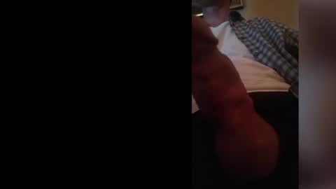 jaaydantaay online show from February 7, 12:28 pm