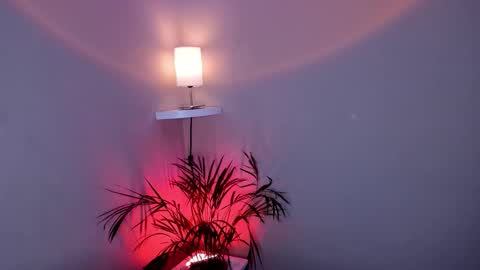 jacke__lee online show from November 26, 4:54 am