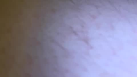 jackjackerman online show from November 5, 4:20 pm