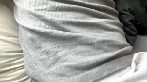 jackswilljack online show from September 10, 3:13 pm