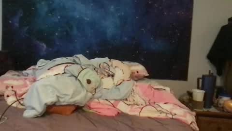 jade_amethyst_star online show from October 6, 3:41 pm