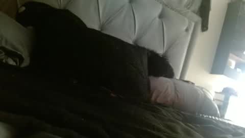 Jade1886 online show from March 6, 8:24 am