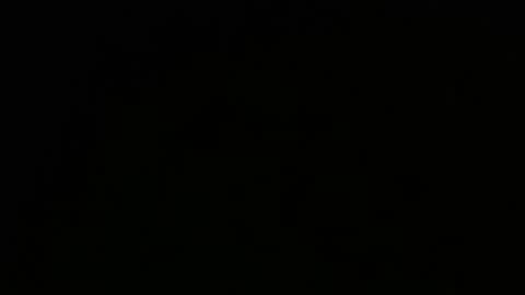 Jamie Rose Queenschild ever... online show from February 8, 7:37 am