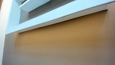 James Walsh online show from February 16, 7:56 pm