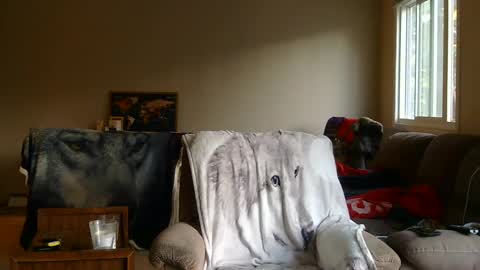 Snapshot of jameswolf777 chatting on September 25, 1:12 am jameswolf777 online show from September 25, 1:12 am