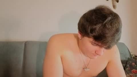 jastinpet online show from November 14, 9:49 pm