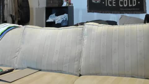 O F   jay short786 online show from September 17, 5:16 pm