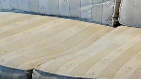 O F   jay short786 online show from October 2, 2:27 pm