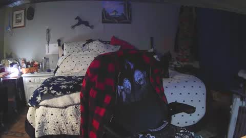 Grand Zaddy or Jay its casual online show from February 1, 2:52 am