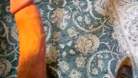 jaywill16253 online show from July 29, 10:32 pm