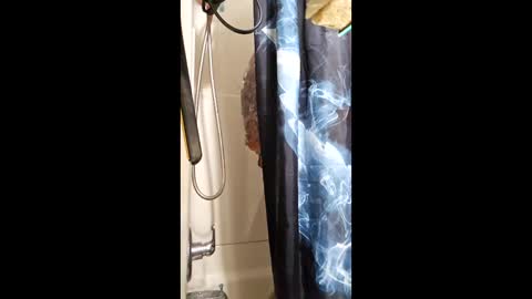 jdlicksgood online show from January 12, 11:34 pm