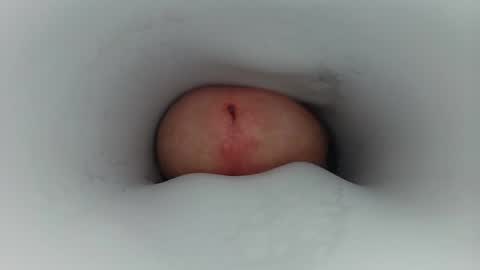 jeffrodgerschaturbat online show from November 24, 4:33 am