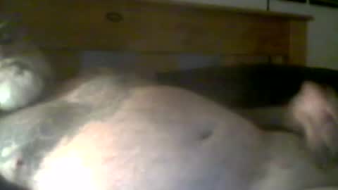 jerkmate6666 online show from April 21, 11:39 am